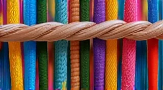 Unraveling the Tapestry: Button Hooks and the Threads of Historical Narrative